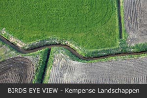 Kempisch landschap