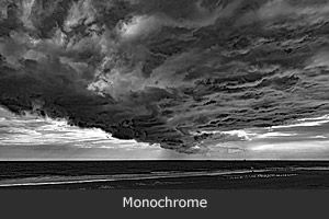Monochrome