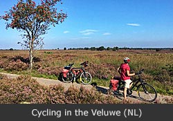 Fietsen op de Veluwe