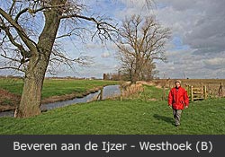 Westhoek