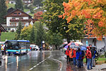 Kleinwalsertal 2008 - Wochenmarkt - Vieh Schau - Dies und Das