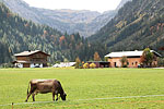 Kleinwalsertal 2009 - Dies und Das