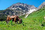 Kleinwalsertal 2016