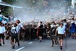 Viehscheid 2018