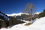 Kleinwalsertal sterreich Brgunttal (16.2.2008)